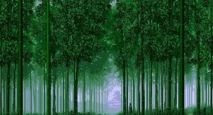 仟億達(dá)碳交易與您攜手打造綠色碳環(huán)保企業(yè) 碳資產(chǎn)管理