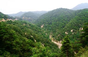 仟億達(dá)集團(tuán)(證券代碼:831999)與河南省信陽市種植合作社就碳資產(chǎn)管理與交易簽約合作 仟億達(dá)集團(tuán)(證券代碼:831999)與河南省信陽市種植合作社就碳資產(chǎn)管理與交易簽約合作