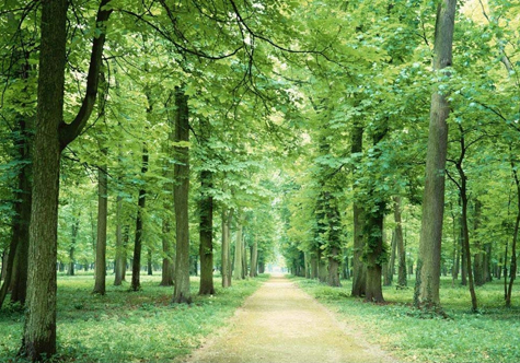 仟億達集團碳資產交易 仟億達集團碳資產交易