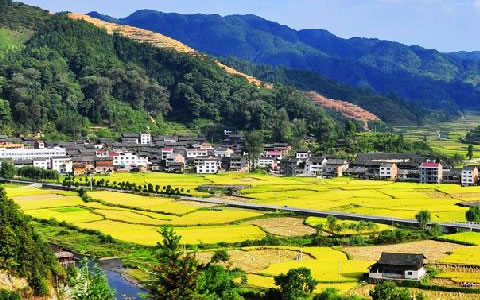 祝賀仟億達集團與錦屏縣就林業(yè)碳匯項目達成合作 祝賀仟億達集團與錦屏縣就林業(yè)碳匯項目達成合作