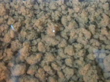 污泥、活性污泥粒狀顆粒